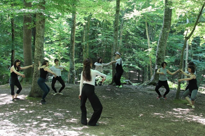 Belgrad Ormanı 2017