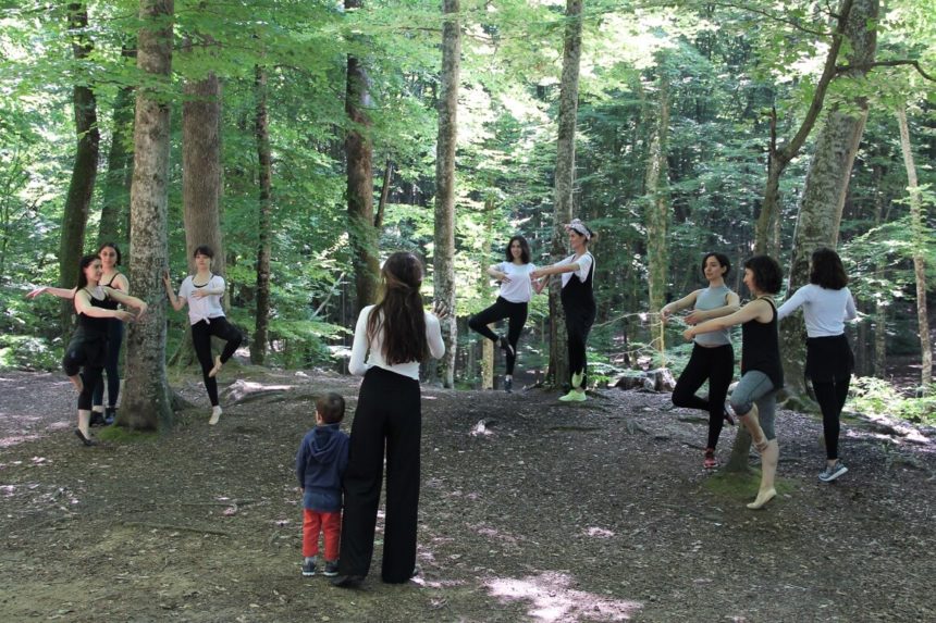 Belgrad Ormanı 2017