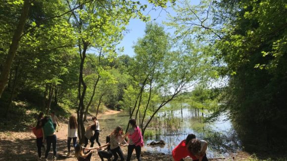 Atatürk Arboretumu 2018