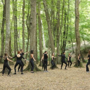 Belgrad Ormanı 2019