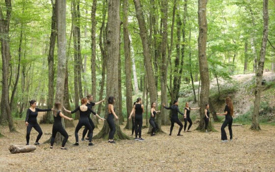 Belgrad Ormanı 2019