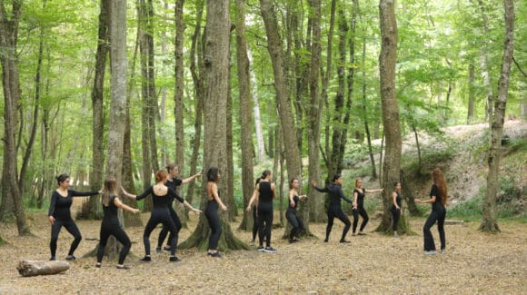 Belgrad Ormanı 2019