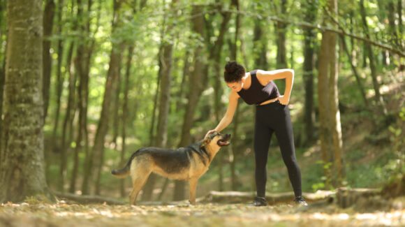 Belgrad Ormanı 2019