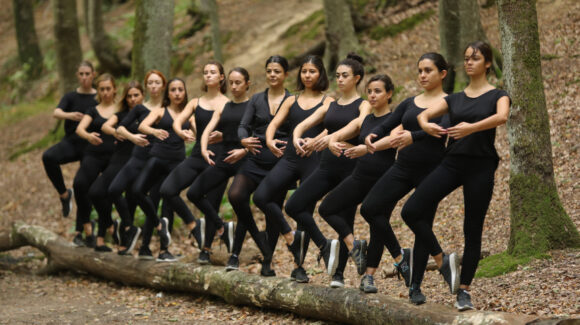 Belgrad Ormanı 2019