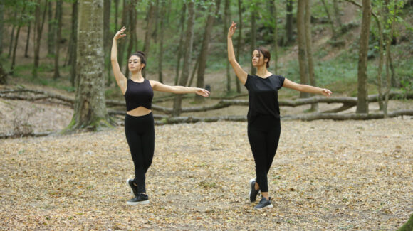 Belgrad Ormanı 2019