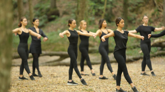 Belgrad Ormanı 2019