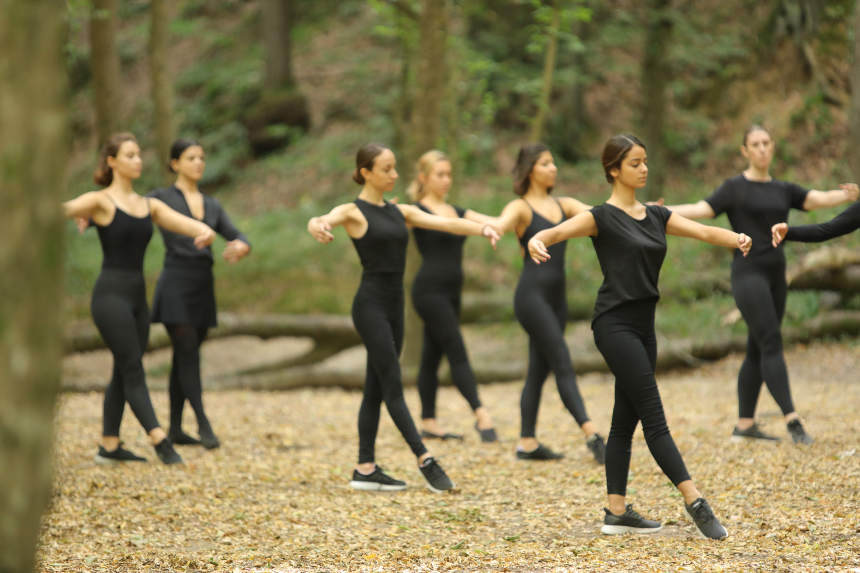 Belgrad Ormanı 2019