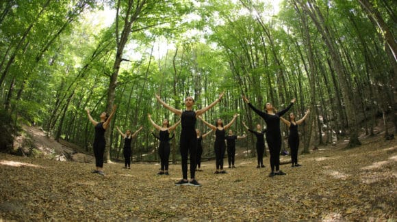 Belgrad Ormanı 2019