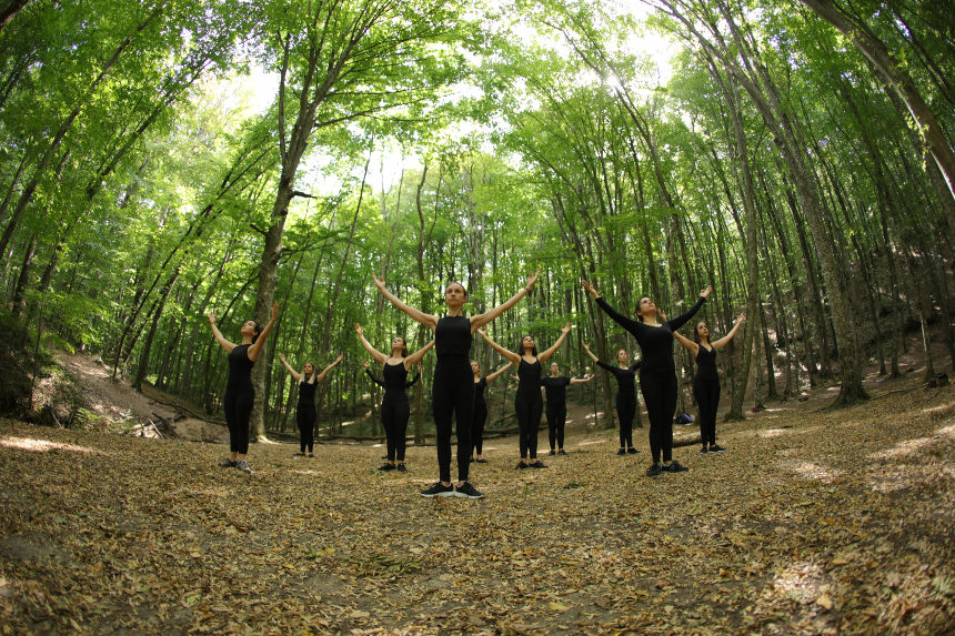 Belgrad Ormanı 2019