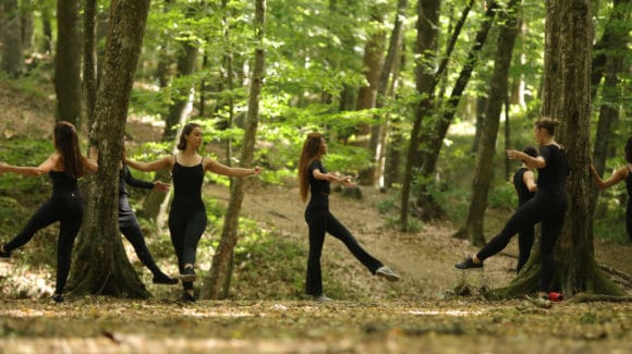 Belgrad Ormanı 2019