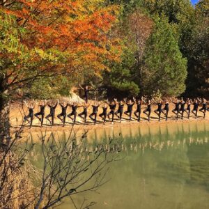 Atatürk Arboretumu 2019