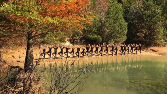 Atatürk Arboretumu 2019