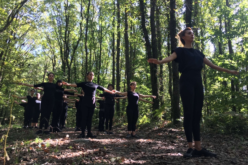 Atatürk Arboretumu 2019