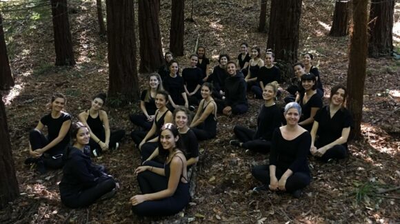 Atatürk Arboretumu 2019