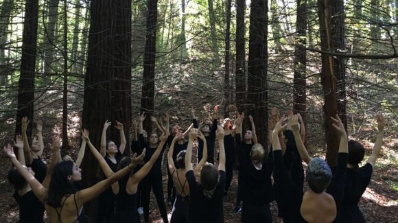 Atatürk Arboretumu 2019