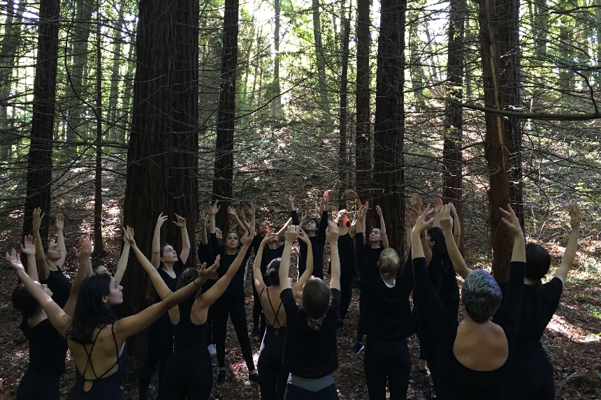 Atatürk Arboretumu 2019